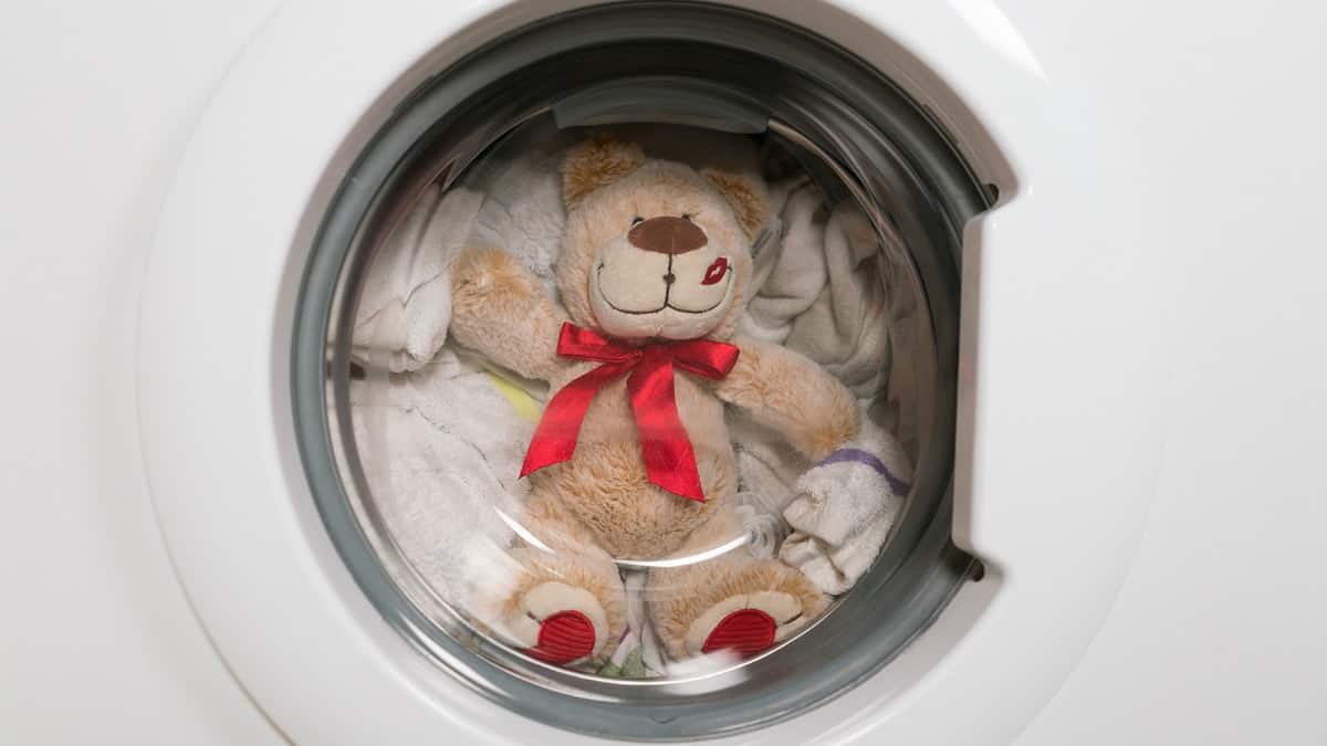 stuffed animal in washer
